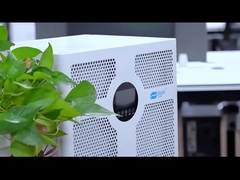 D03A-VÍDEO PRINCIPAL